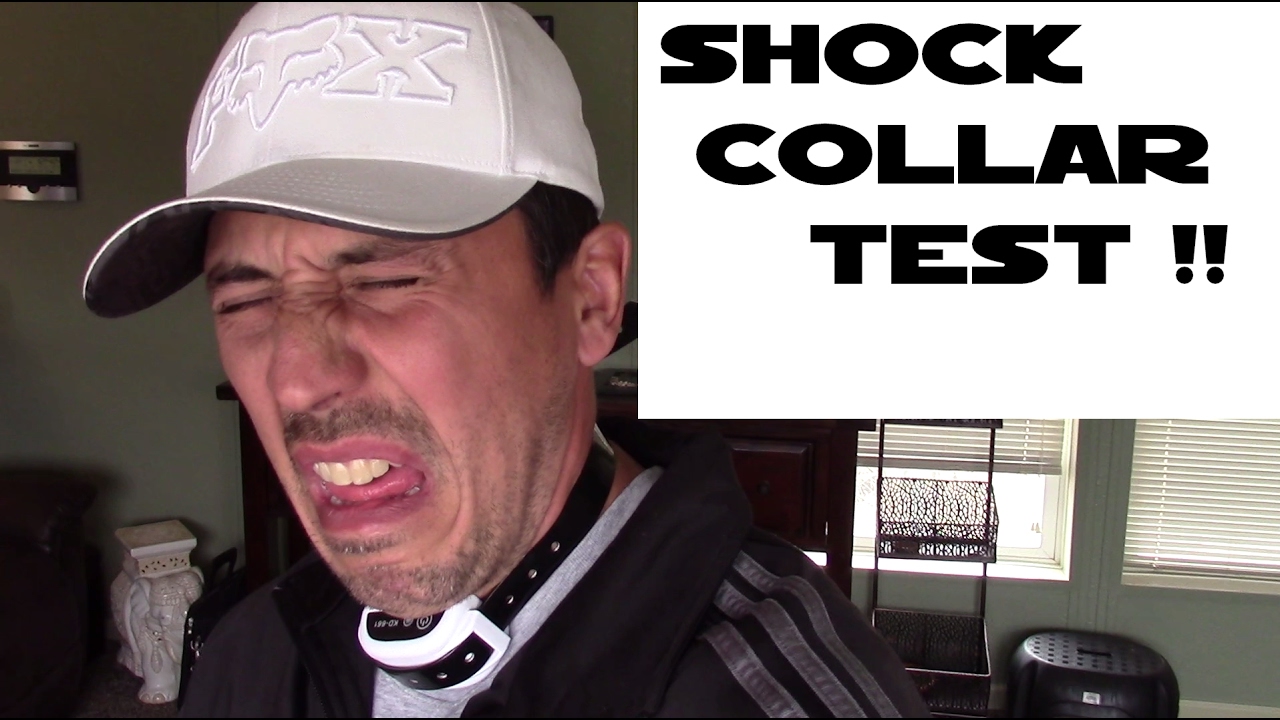 Testing electric wireless fence shock collar on myself KD661 YouTube