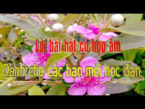 Lời bài hát có hợp âm-Dành cho các bạn mới học đàn