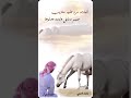 شيله شوهتوا الوقفات يااهل العذاريب اما افعلوها صح ولااتركوهااداء احمد الداموك👌👌