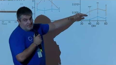 CHAMP1 Conference 2025 - Decoding CHAMP1: Function, Mechanisms from Neurons - Stefano Berto PhD
