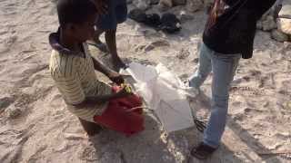 Jamaican Youth Kite Maker Flying High On The Caribbean Sea