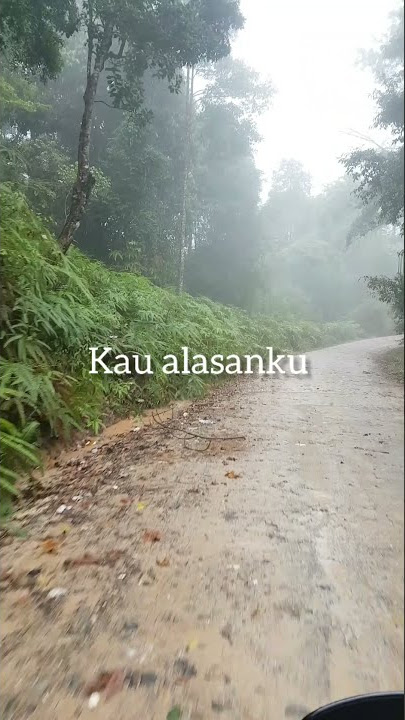 Story wa kau lah alasanku untuk dewasa