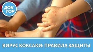 видео: Где можно заразиться вирусом Коксаки картинка: Где можно заразиться вирусом Коксаки