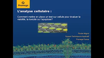 Comment mesurer la viabilité cellulaire ?