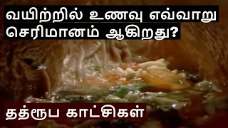 How the Digestive System Works ? | Tamil | Niruban Talks screenshot 3