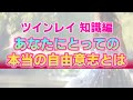 今世を過去の自分に譲り渡すか、ハイヤーセルフに譲り渡すか。アセンション×ツインレイから考える、今を生きるという視点について
