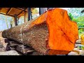 Amazing discovery, a very beautiful large log at the sawmill