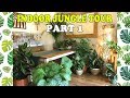 Welcome to the Jungle! Indoor Jungle Tour UK PART 1