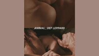 Animal ; Def Leppard [Español]