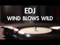 Miniature de la vidéo de la chanson Wind Blows Wild