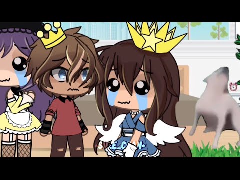 Where is the dog man?😂||MeMe||GL