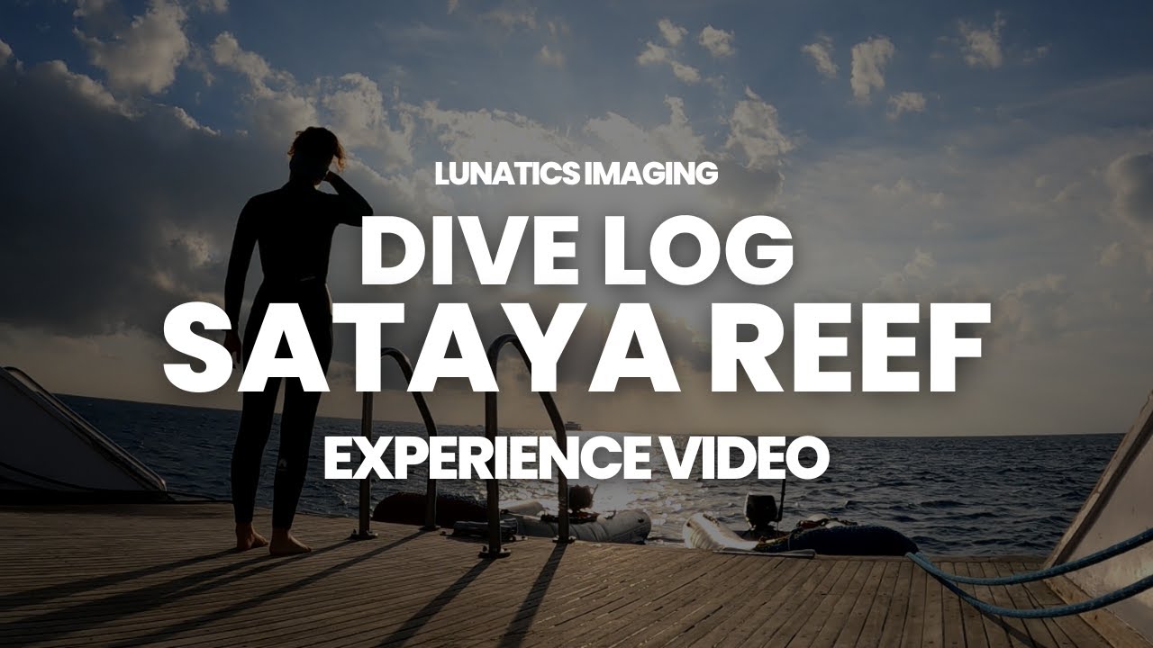 Review Dive Log Sataya Reef Experience | Diving in the Red Sea, Egypt 2022