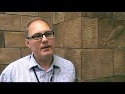 museums in london False widow spiders | Natural History Museum