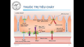 Hóa Dược 2:Thuốc tác động lên hệ tiêu hóa part 5