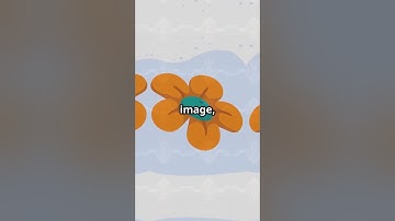 #ADAInsights:  Digital Accessibility & Website Compliance – ADA in the Online World