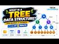What Is a Tree Data Structure? From Beginner to Advanced in 6 Minutes
