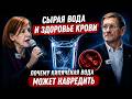 Как вода и пищеварение влияют на кровь