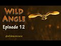 Wild Angle episode 12 from @wildmanrouse