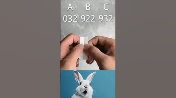 Guess the numbers #shorts #rabbit #bombastic #video #brainteaser #mindchallenge #mindgames