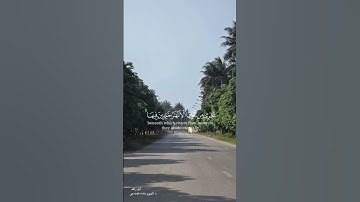 سورة العنكبوت - آية ( ٥٨-٥٩) - القارئ سعد الغامدي
