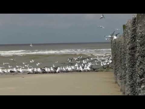 entspannungsmusik-meer-see-meditation-relaxation-entspannen,-einschlafen,-schlafen
