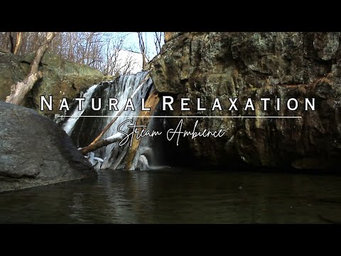 Forest View with Waterfall for Nature Therapy and Relaxation / 3 Hours Sounds of Nature