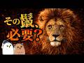 【ゆっくり解説】ライオンの奇妙な生態【 進化論 / 科学 / 生態 】