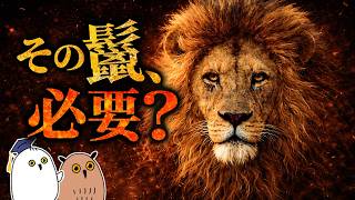 【ゆっくり解説】ライオンの奇妙な生態【 進化論 / 科学 / 生態 】