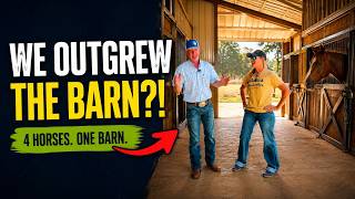 We Built Our Dream Horse Barn… And It’s Already Too Smal