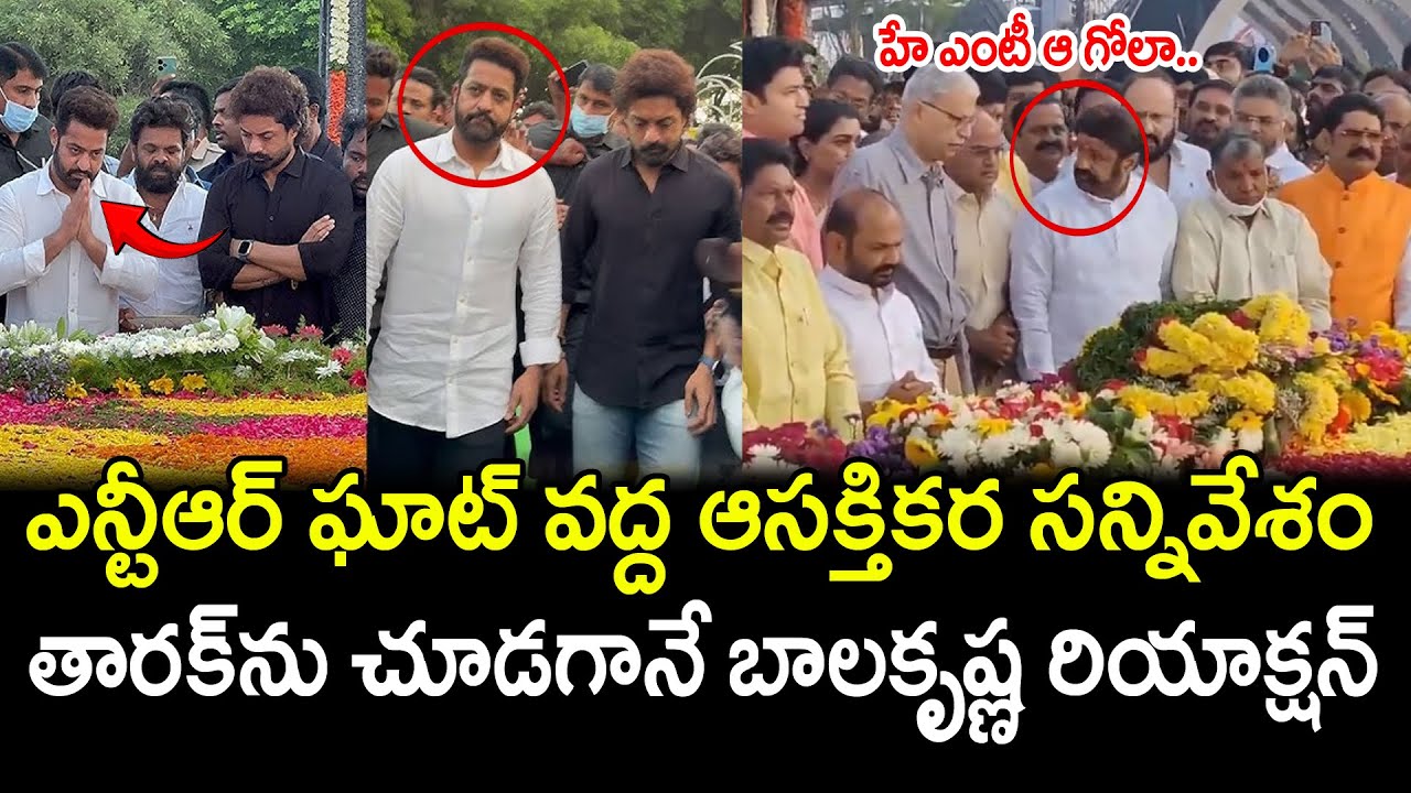 Bala Krishna Reaction After Seeing Jr.Ntr At NTR GHAT : PDTV News