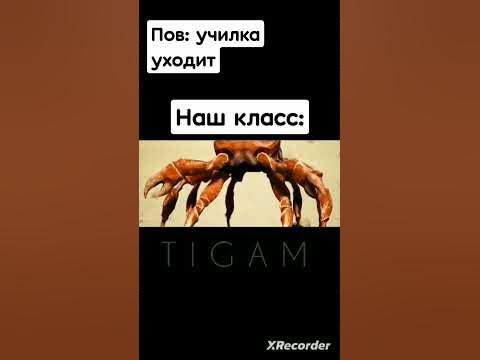клабик клабик клабик - YouTube
