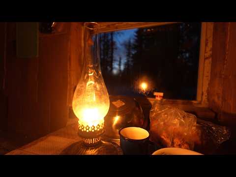 Таёжное озеро. Дикая рыбалка. Огромные стаи плотвы. Крупный окунь.