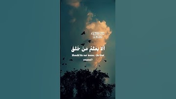 سورة الملك بصوت يرقق القلب/Surah Al-Mulk/حالات واتس اب