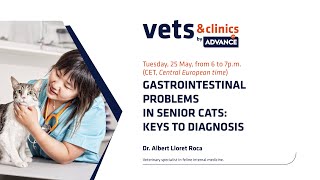 5. INT  Gastrointestinal problems in senior cats: Keys to diagnosis