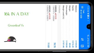 How to make 16k in a day
