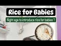 Rice for babies keeping it safe and simple  dr pasunuti sumanth