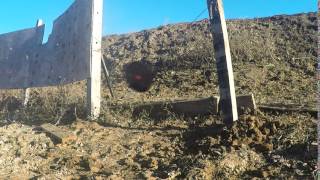 .50Bmg Api, 58 Steel Plate, Full Speed