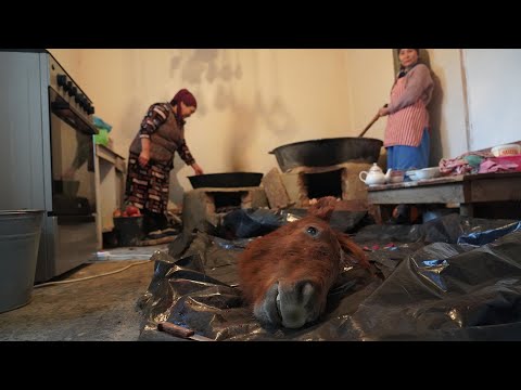 Tradiciones extrañas de una familia de Asia Central | KIRGUISTÁN 🇰🇬🐴
