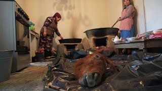 Tradiciones extrañas de una familia de Asia Central | KIRGUISTÁN 🇰🇬🐴