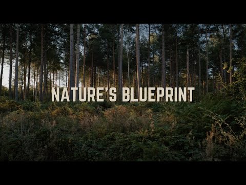 Nature's Blueprint Crowdfunding Video