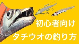 【初心者向け】タチウオの釣り方★ルアー編