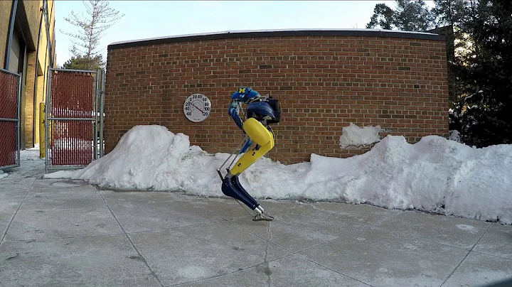 Bipedal Robot Cassie Blue and Maize vs the Polar Vortex!