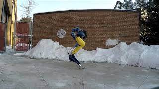 Bipedal Robot Cassie Blue and Maize vs the Polar Vortex!