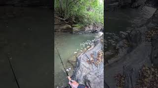 #горная рыбалка# #fishing #поход