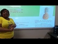 Reading Comprehension Skills Quiz