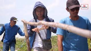 Menelusuri Penghuni Pulau Bebuar/Ketugar Pulau Kecil di Desa Kurau Bangka Tengah