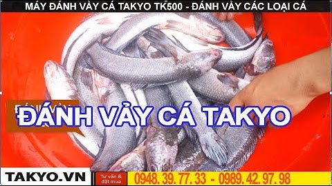 đánh vảy cá rô vi siêu sạch bằng may đánh vảy cá tự động takyo tk 500 sử dụng diện 1 pha 220v
