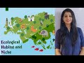 Habitat And Niche Ecology Ecosystem NEET CSIR NET GATE AIIMS Class12 JIPMER B Sc M Sc Upsc Biology