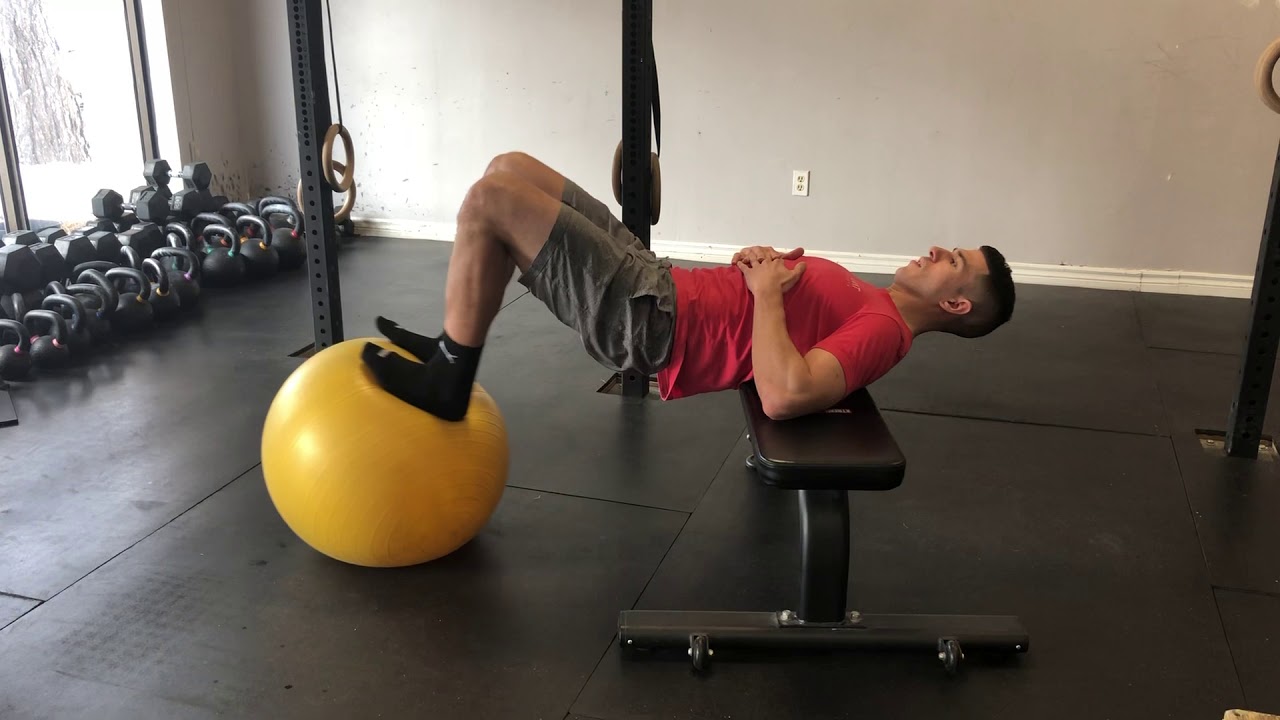Swiss Ball Curls on Bench YouTube