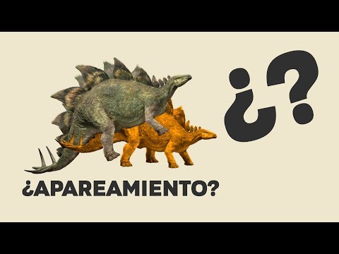 Como rayos se apareaban los Stegosaurus